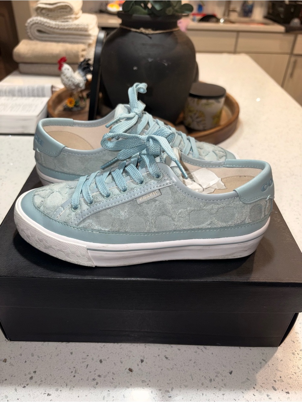 Coach Women's Low-Top Sneakers in Pale Blue Suede